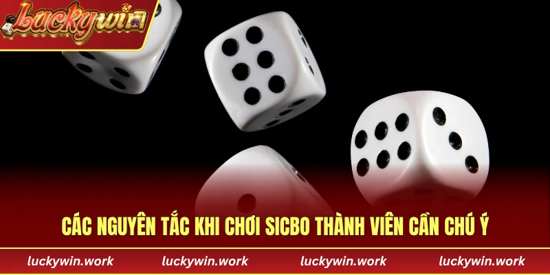 Các nguyên tắc khi chơi sicbo thành viên cần chú ý