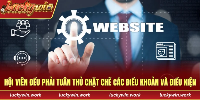 Hội viên đều phải tuân thủ chặt chẽ các điều khoản và điều kiện