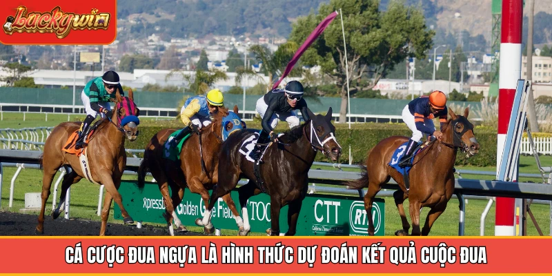 Cá cược đua ngựa là hình thức dự đoán kết quả cuộc đua Cá cược đua ngựa là hình thức dự đoán kết quả cuộc đua